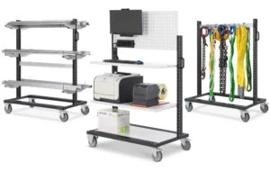 BINCART INTRODUZIONE 300x191 (1)